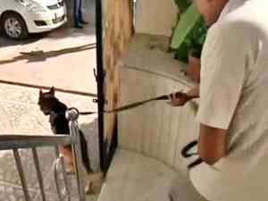 Jaipur Crime 